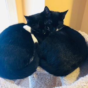 Meet your Posher, Mary